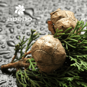 Aceite esencial de Ciprés para masajes