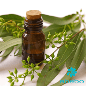 Aceite esencial de Eucalipto para masajes
